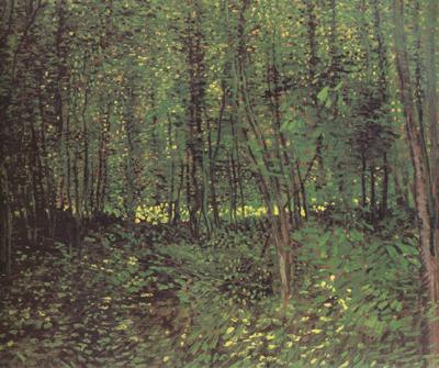 Vincent Van Gogh Trees and Undergroth (nn04)